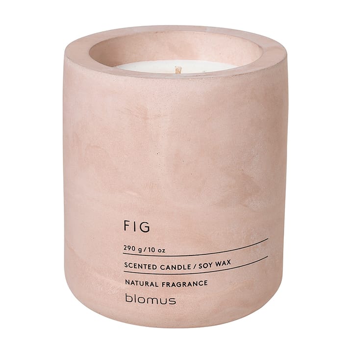 Fraga doftljus 55 timmar, Fig-Rose Dust blomus