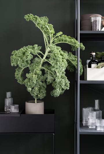 ferm LIVING plant box - Black (svart) - ferm LIVING