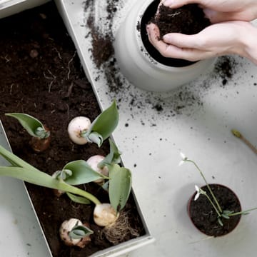 ferm LIVING plant box small - ljusgrå - ferm LIVING