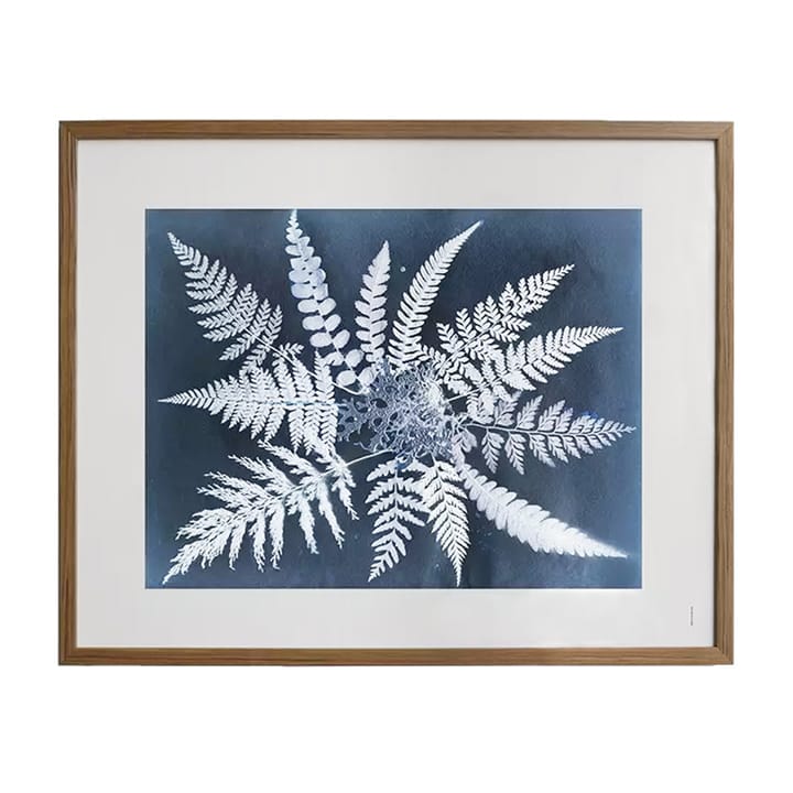 Fern star poster, 40x50 cm Fine Little Day