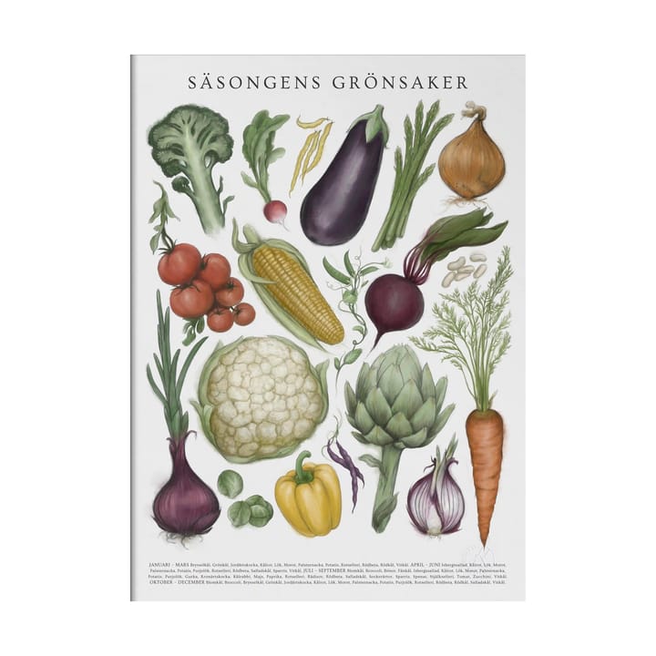 Säsongens Grönsaker poster - 30x40 cm - Kunskapstavlan®