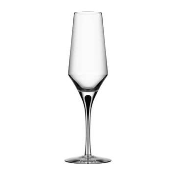 Orrefors Metropol champagneglas 27 cl Clear / Black