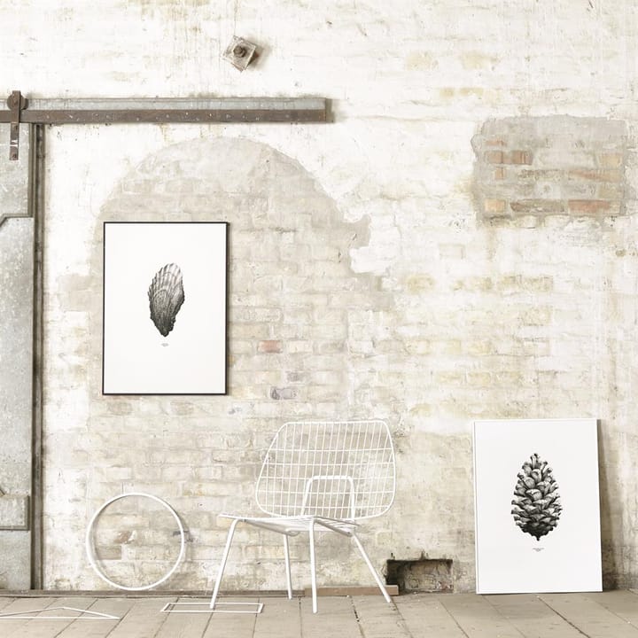 1:1 Pine Cone poster, vit, 50x70 cm Paper Collective