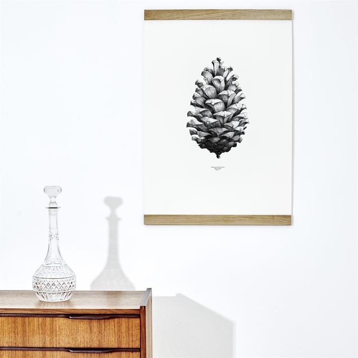 1:1 Pine Cone poster, vit, 50x70 cm Paper Collective