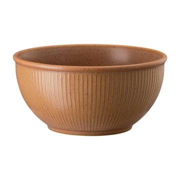 Rosenthal Thomas Clay müsliskål 70 cl Orange