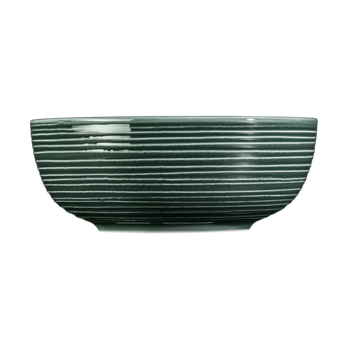 Terra skål Ø20,4 cm 2-pack, Moss Green Seltmann Weiden