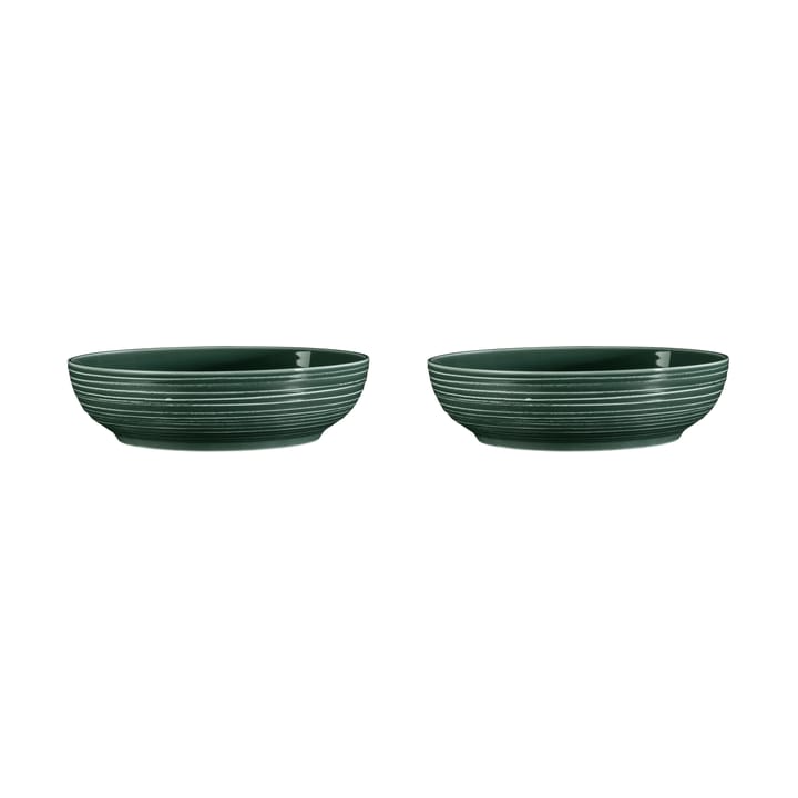 Terra skål Ø25,5 cm 2-pack - Moss Green - Seltmann Weiden