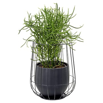 Serax blomkruka i korg Ø37 cm h46 cm - Black - Serax