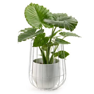 Serax blomkruka i korg Ø37 cm h46 cm - White - Serax